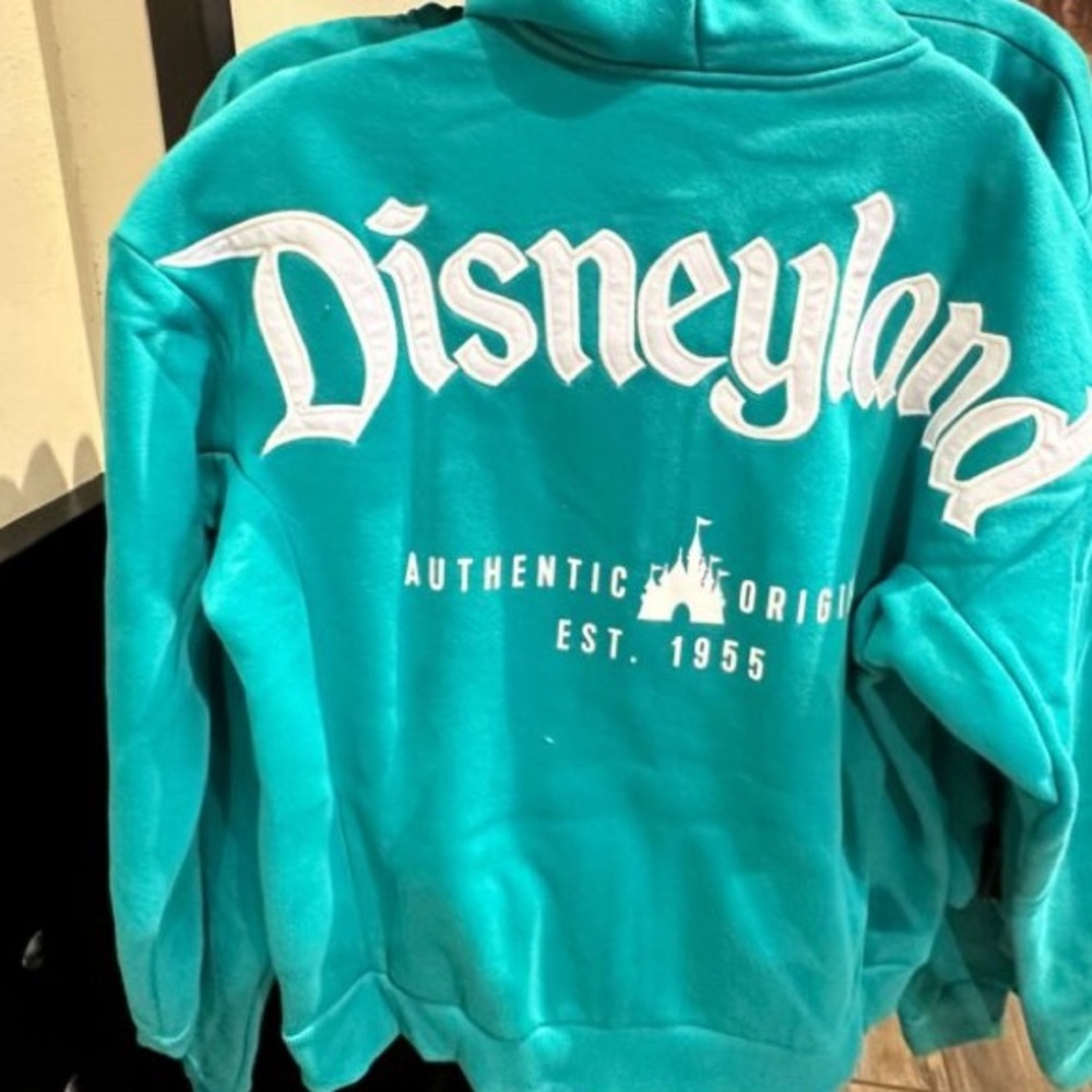 Disneyland Teal Sweatshirt - Picture 3 of 3